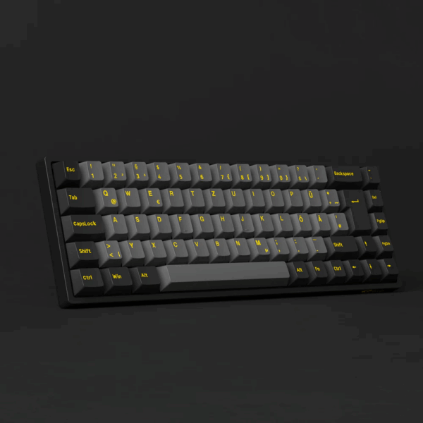 AKKO Black & Gold 3068B Plus ISO DE – Kompakte mechanische Tastatur mit Premium-Design